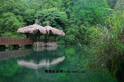 阿里山风景区