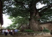 霍邱圆觉寺