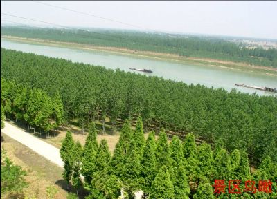 茨淮新河水利风景区