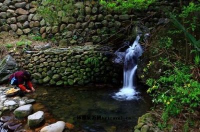 上丰花果山村落