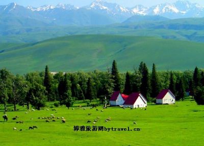 那拉提旅游风景区