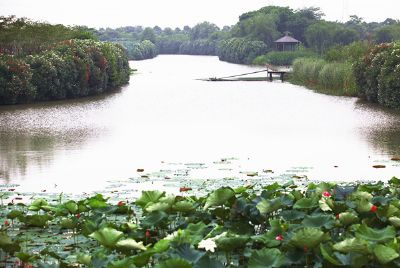 芙蓉湖水利风景区