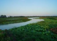朱湖湿地生态公园