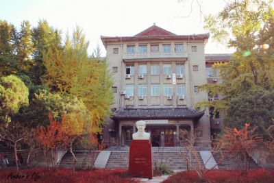 山东大学博物馆