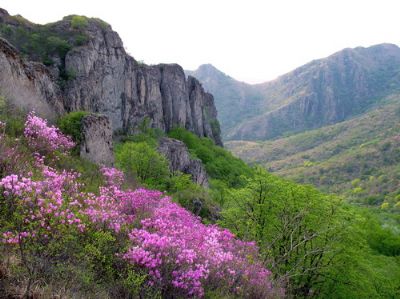 乌兰木图山