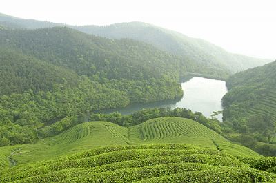 东钱湖福泉山