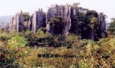 锣鼓圈岩溶石林