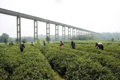 月满新塘景区