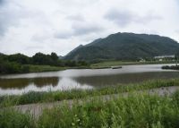 大九湖高山湿地