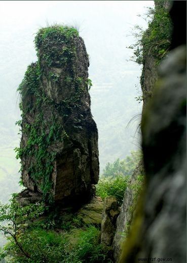 黄冈大崎山森林公园