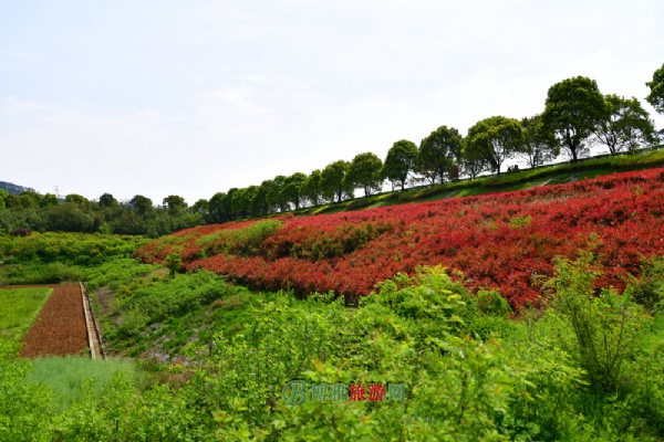 黄家湾风景区