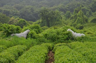 无锡胶山