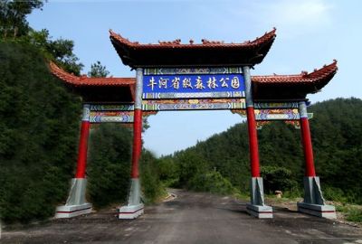 牛河森林公园