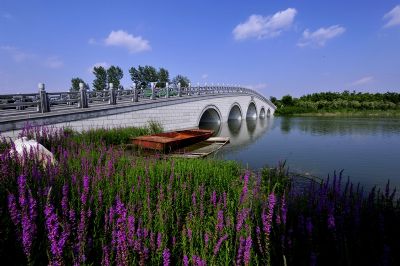 汶上莲花湖湿地景区