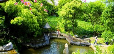 桃花岛桃花峪景区（桃花岛桃花寨休闲村）