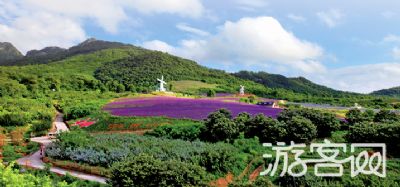 大连紫云花汐薰衣草庄园