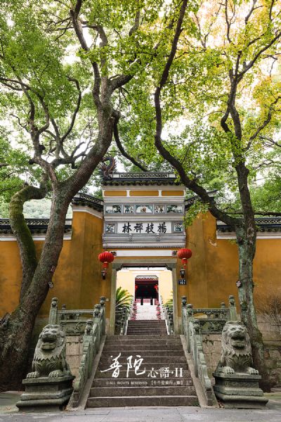 普陀山杨枝禅院