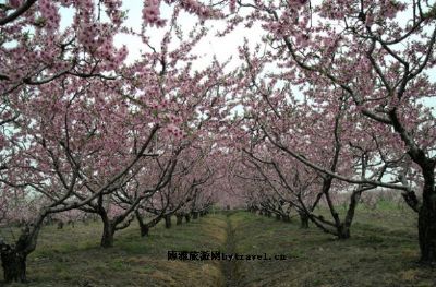 大云生态旅游区是