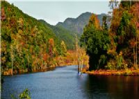 莲花江山村