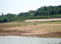 沿黄河风景带