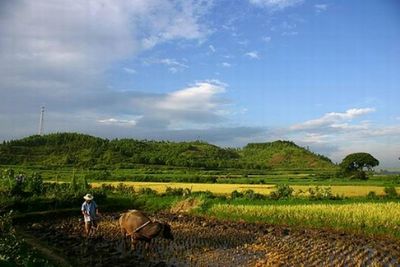 黎川洵口、资福桥、团村战斗旧址