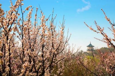 梅园横山风景区