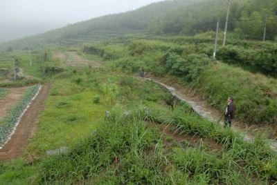 射雀岗畈梯田