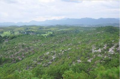 宁化县水土保持科教示范园