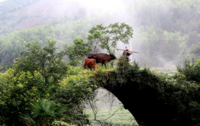 黄坑景区