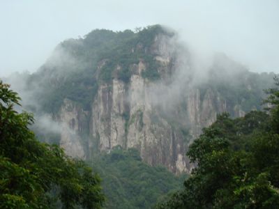 藤山自然保护区