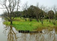 鹤之洲湿地公园