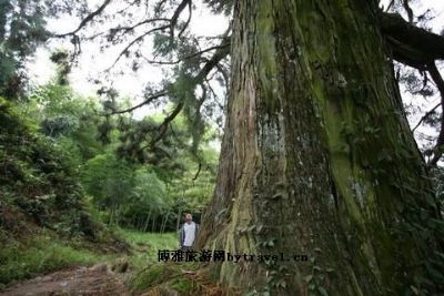 一龙三凸景区