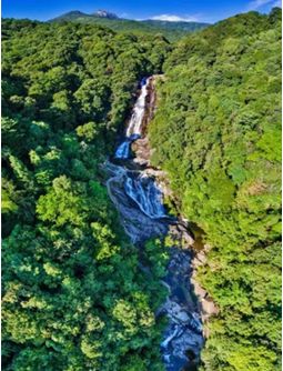 梁野山云礤溪水利风景区