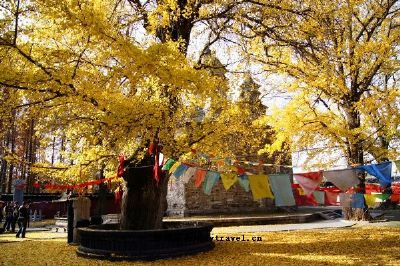 襄阳广德寺