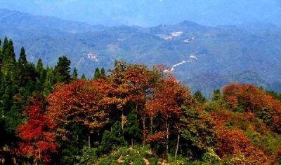 薤山旅游度假区