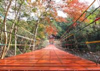 陡水湖风月岛