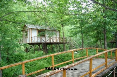 长白山生态植物园