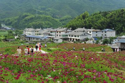 高峰村