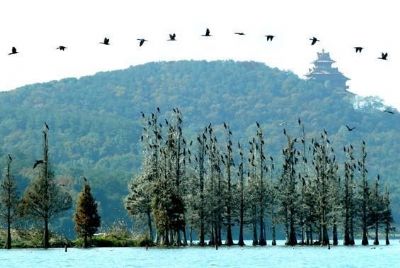 东湖落雁景区