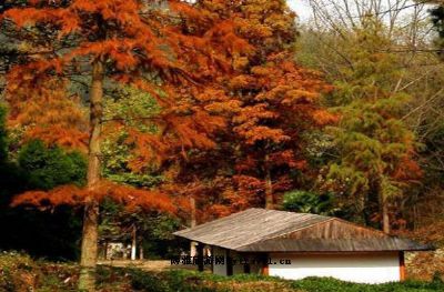 素山寺国家森林公园