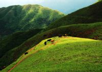 百里大草山