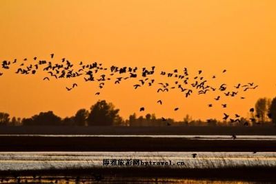 龙凤湖水利风景区