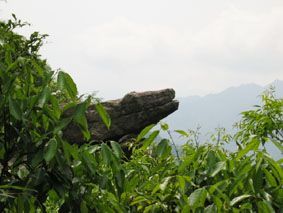 白水洞