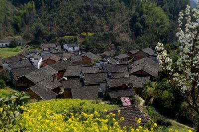 郑公山村