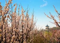 梅园横山风景区