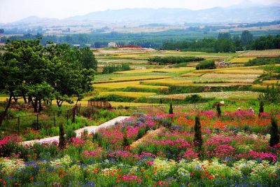 花仙子风景区