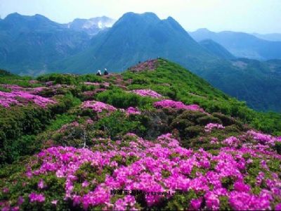 日照九仙山