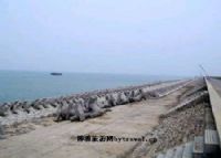 孤东海堤