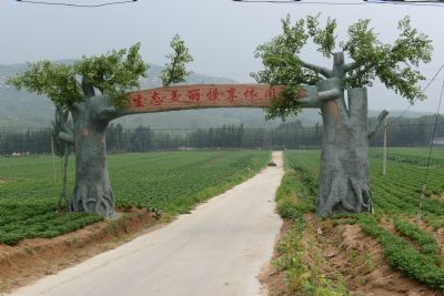 邹城鸿山森林公园