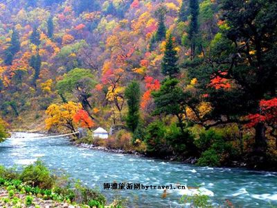 淄博鲁山国家森林公园